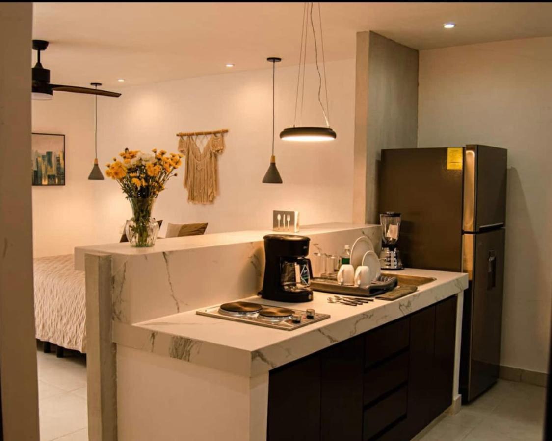 Mid-498 Centro Apartment Мерида Екстериор снимка